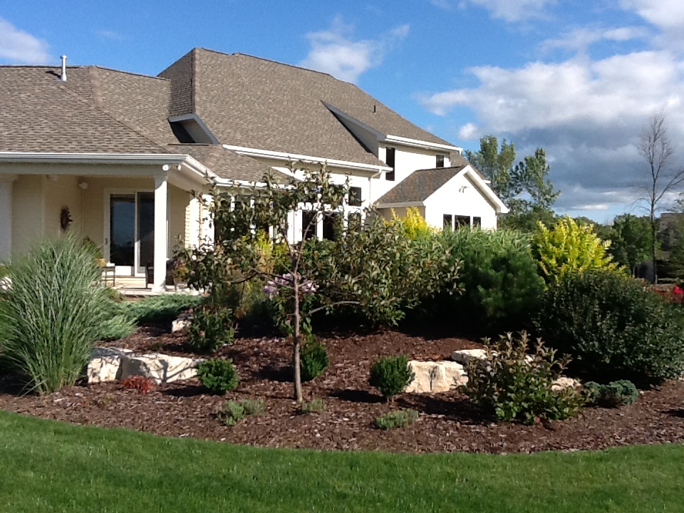 small trees and bushes in mulched landscaping leading to house