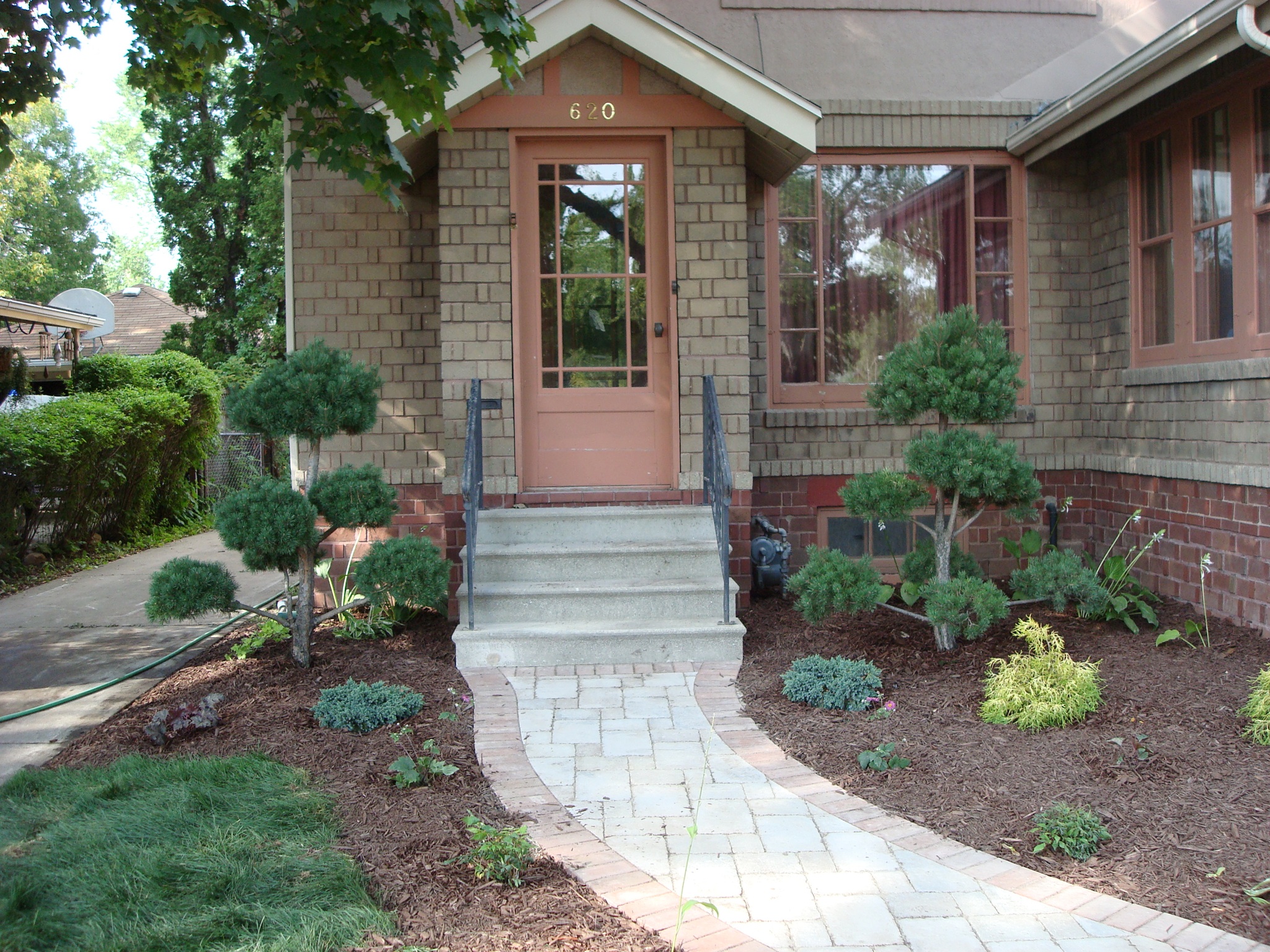 front door surrounded by decorative trees and plants in mulched area around walkway